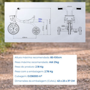 Triciclo Infantil Nathor De Alumínio Pet Friends
